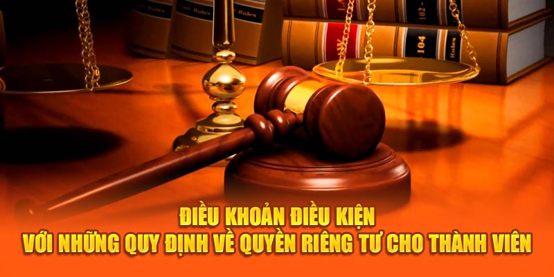 Điều khoản điều kiện với những quy định về quyền riêng tư cho thành viên