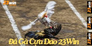 Đá gà cựa dao 23Win