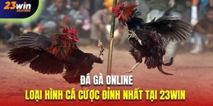 Đá gà online tại 23Win